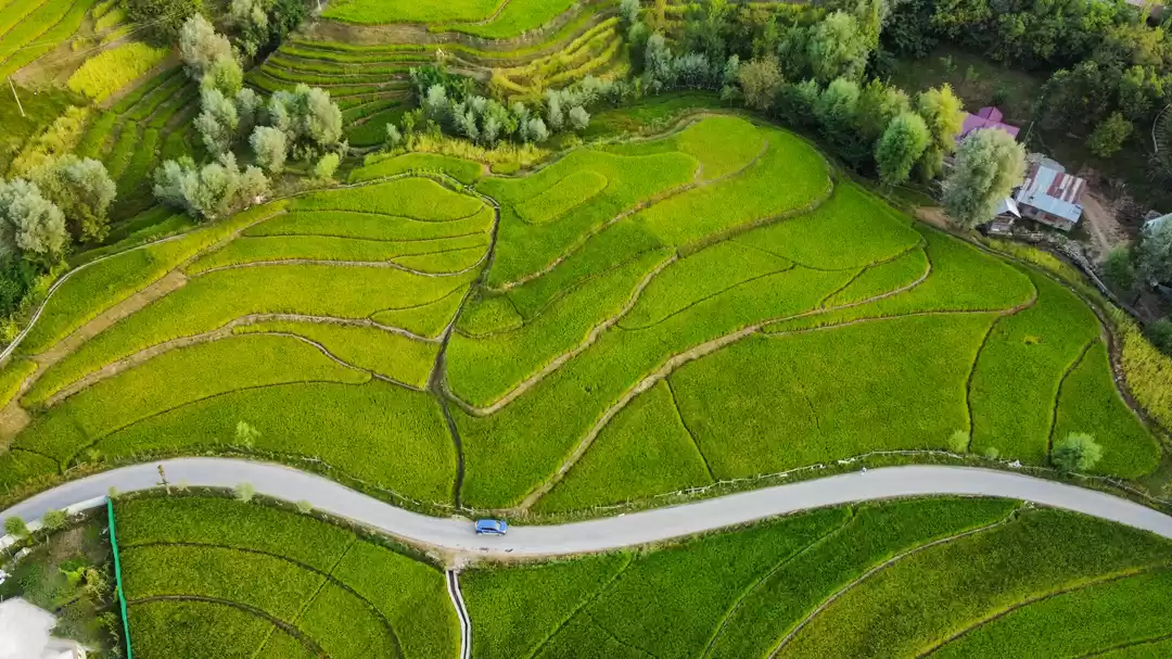 Photo of If You're Craving fo