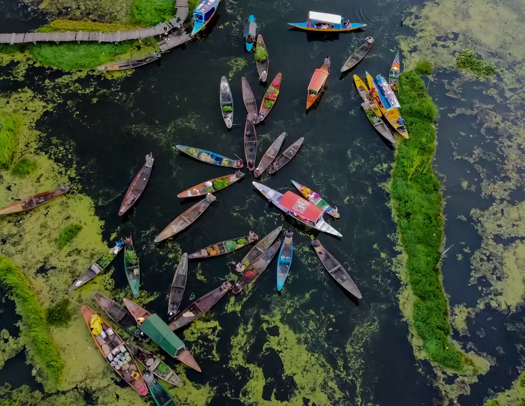 Photo of If You're Heading to