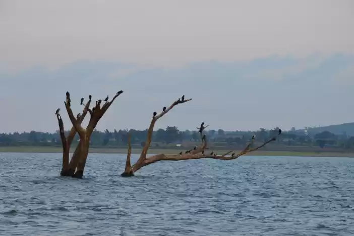 Photo of Kabini – A Paradise 