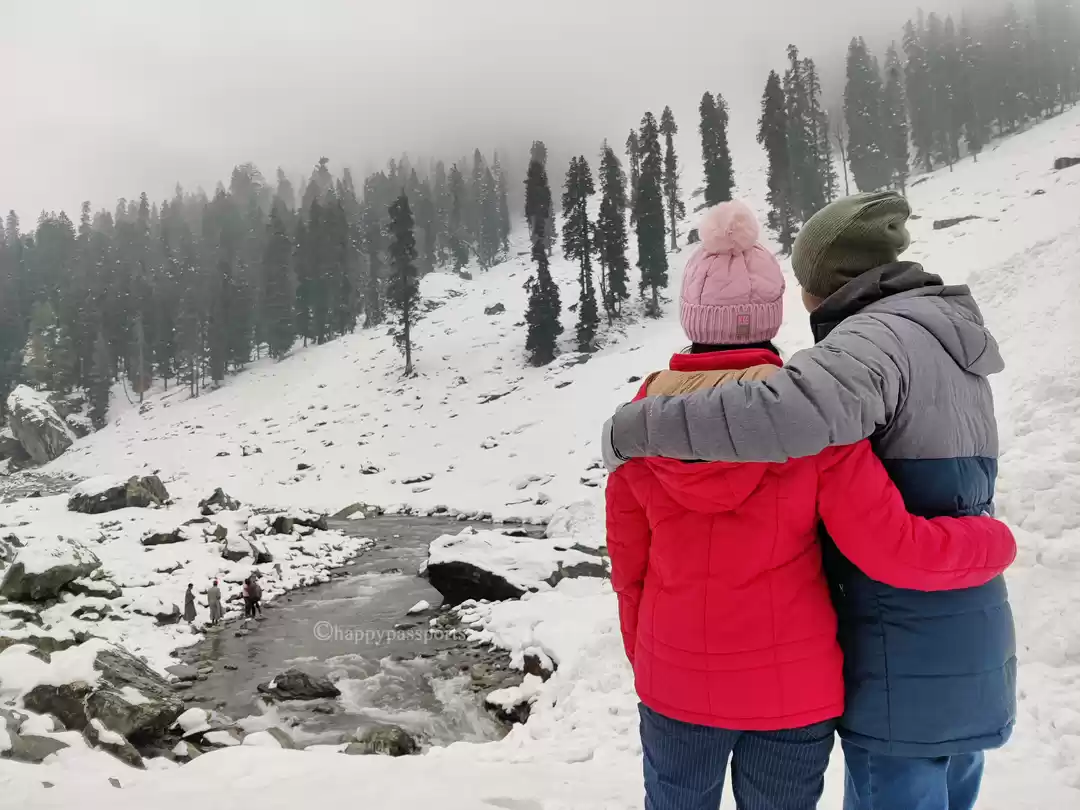 Best Time to Visit Kashmir for Snowfall - A Complete Guide