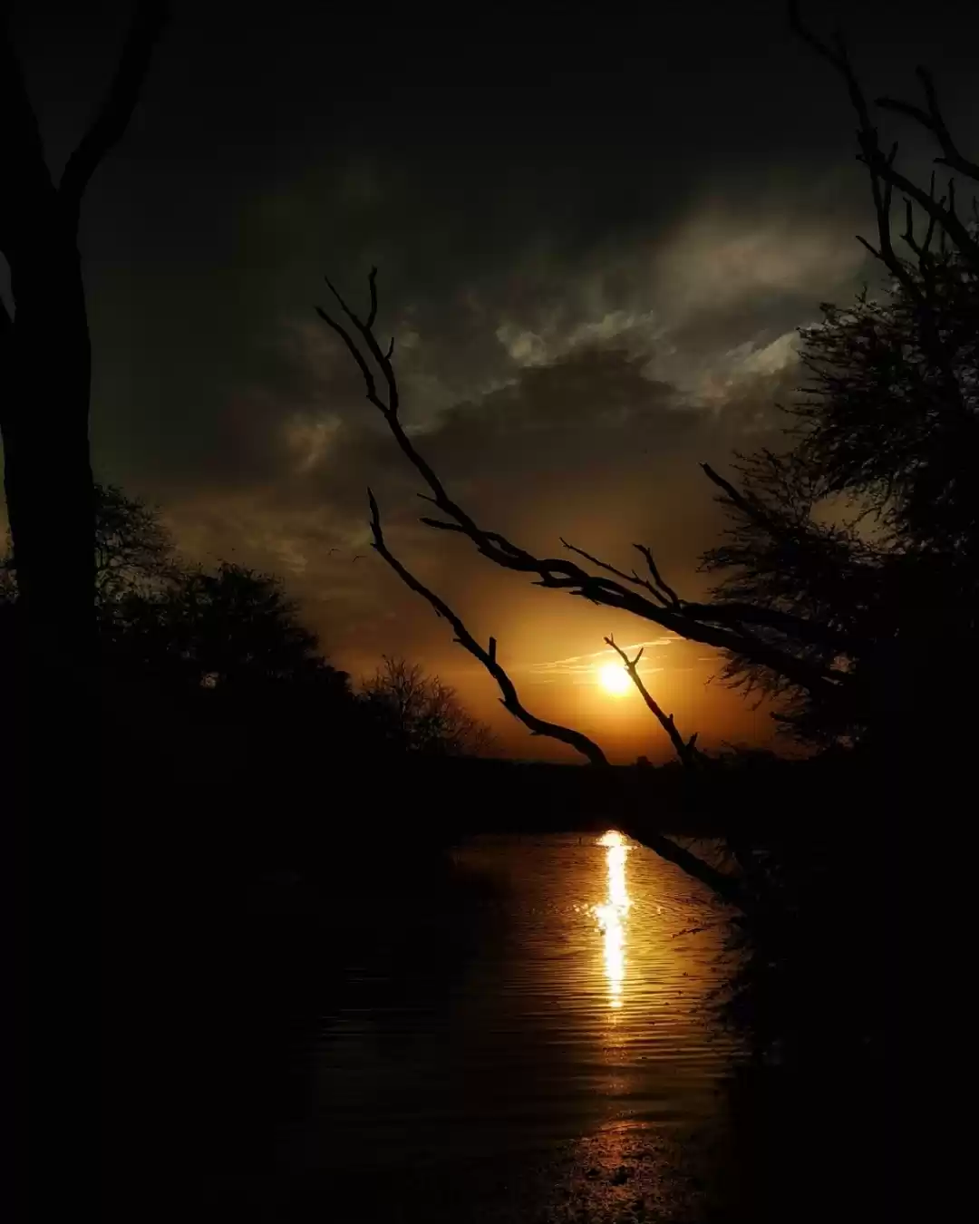 Photo of Snaps of the sun fro