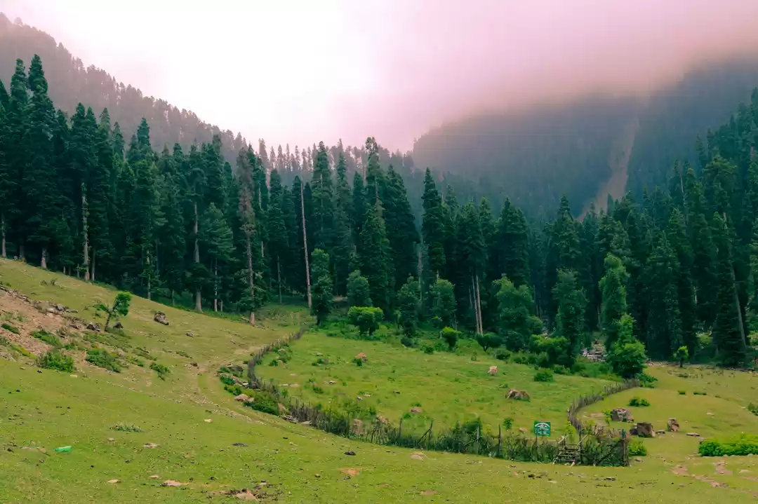 Photo of Daksum an Unexplored