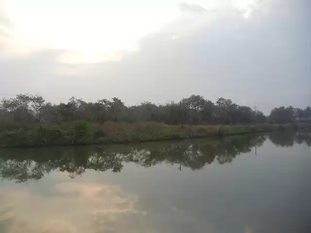 Photo of Goa with peace