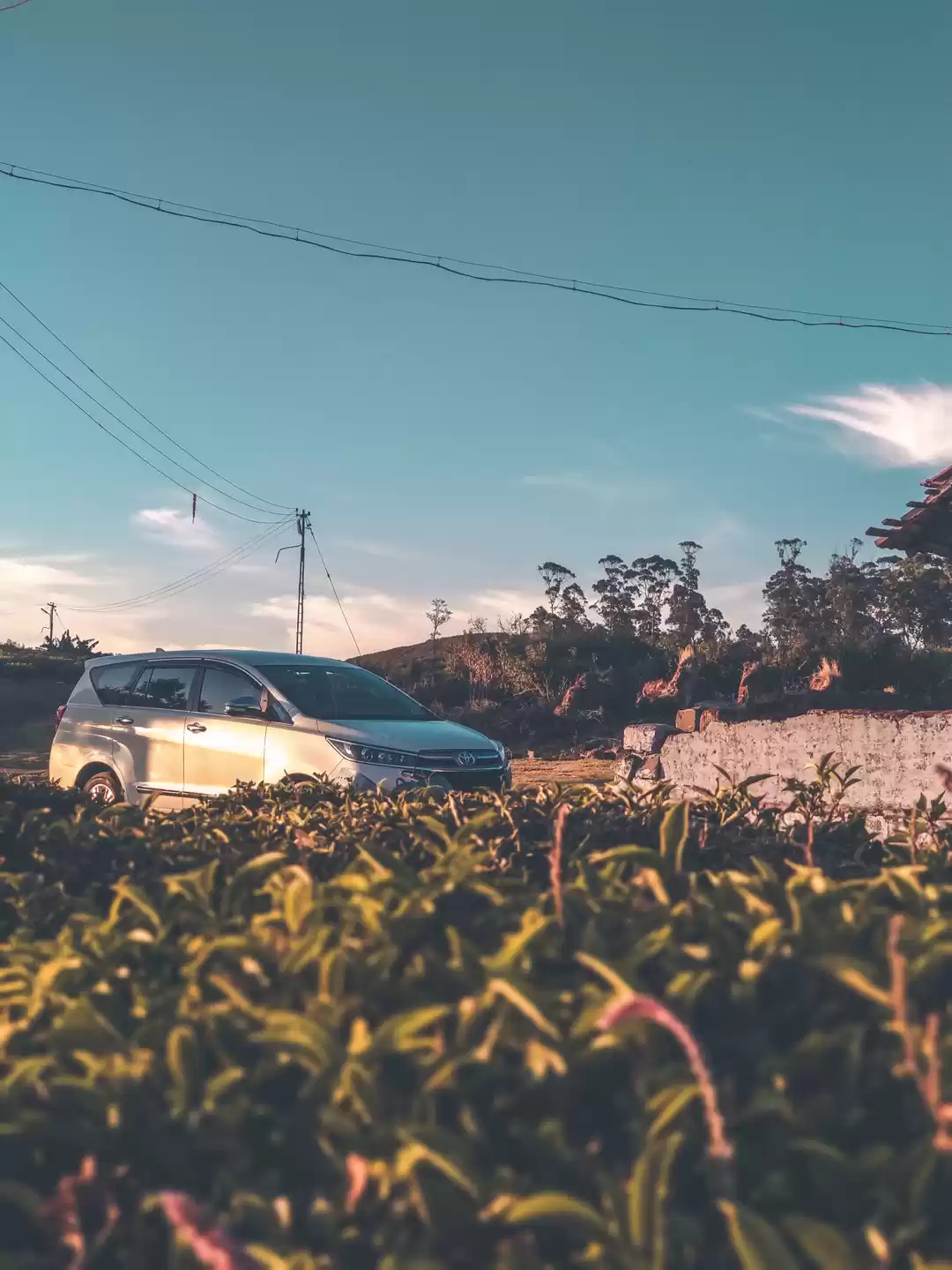 Photo of The best Road Trip 