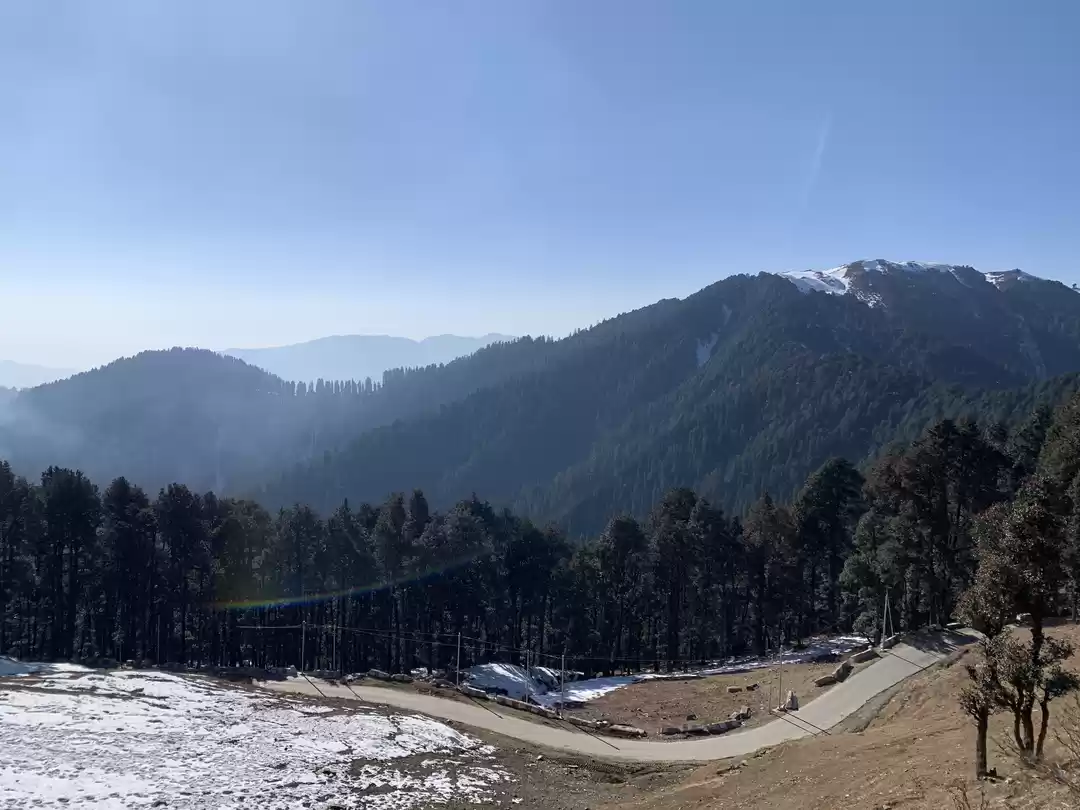 Photo of Sajwar 