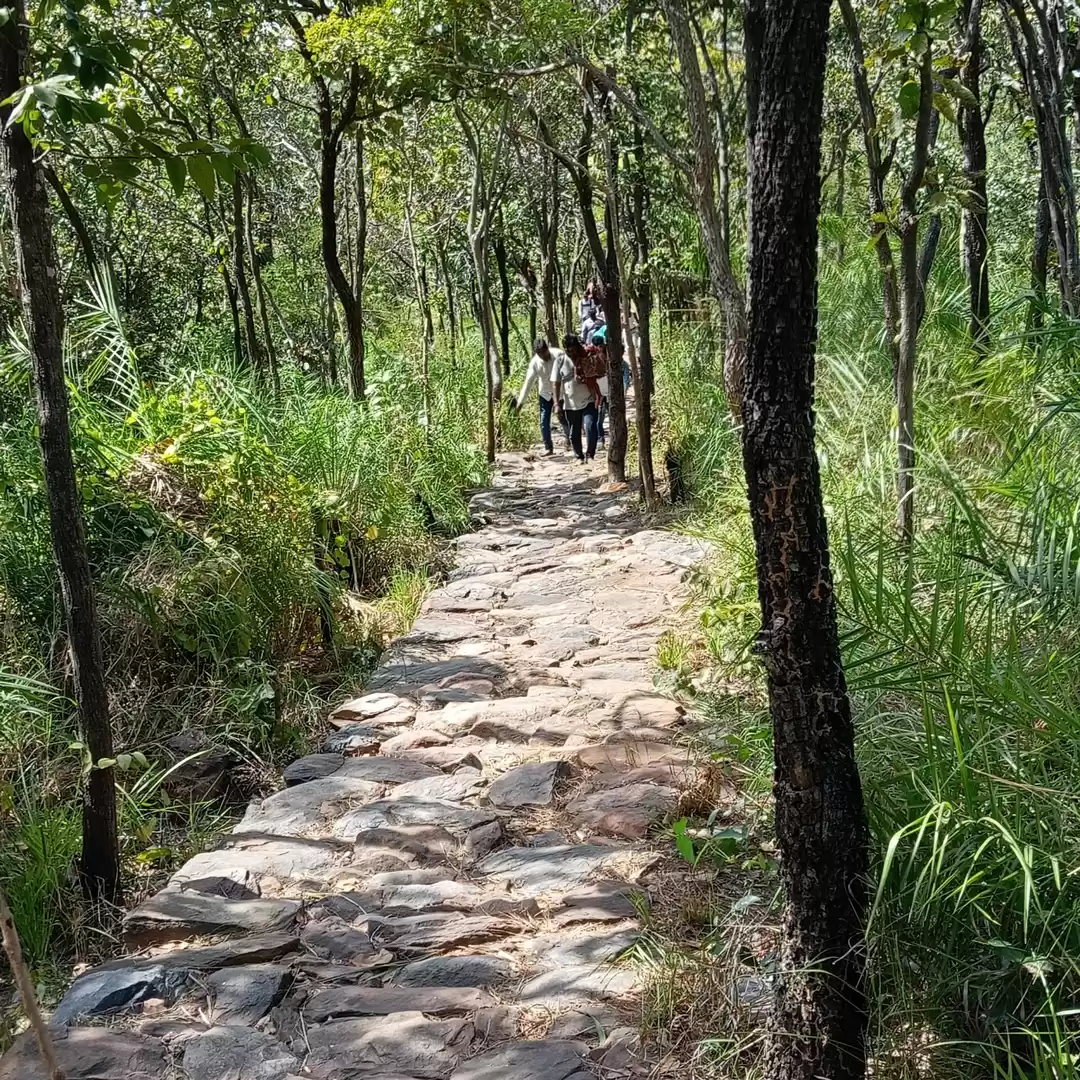 Photo of Mallimkonda (bamboo 