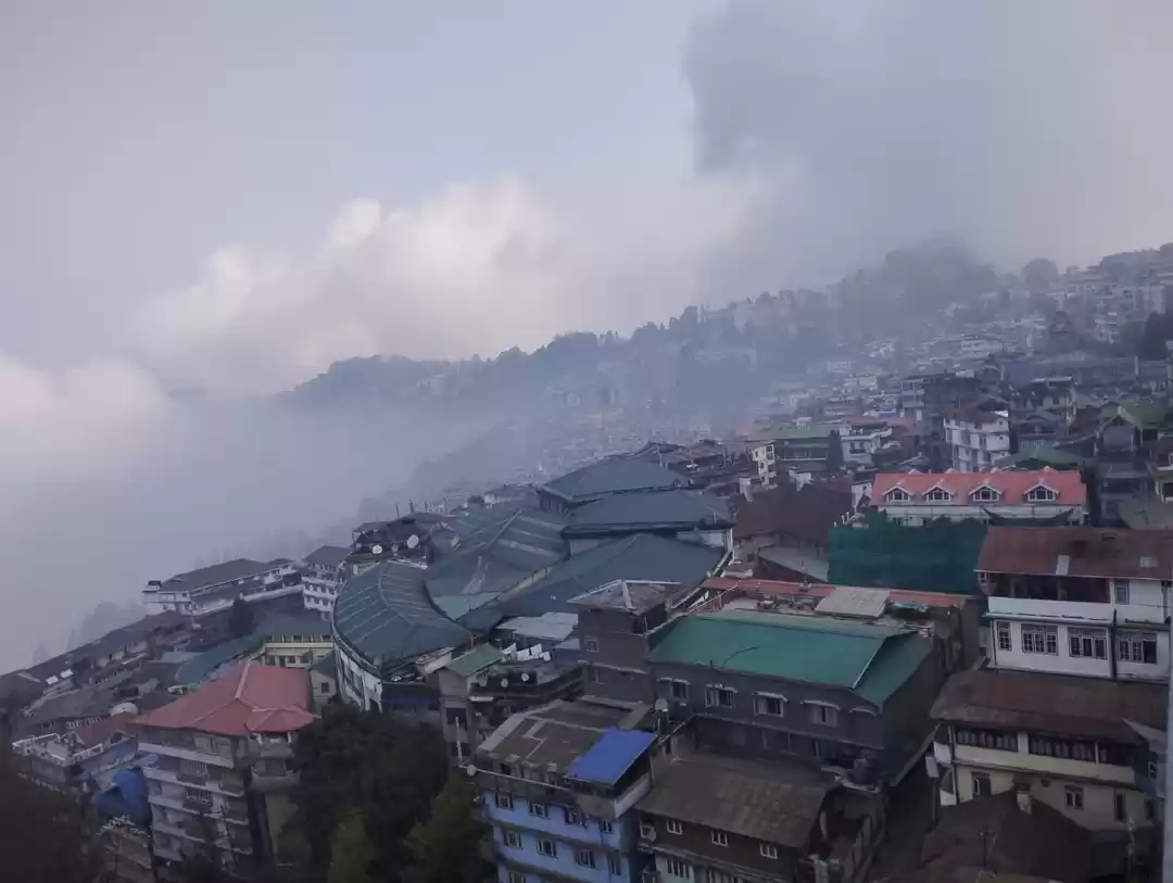 Photo of Queen of hills Darje