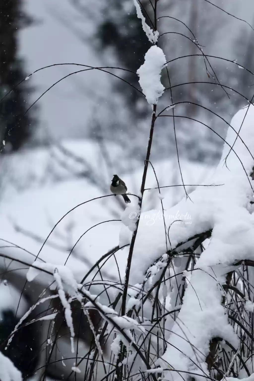 Photo of Shoot day @Theog