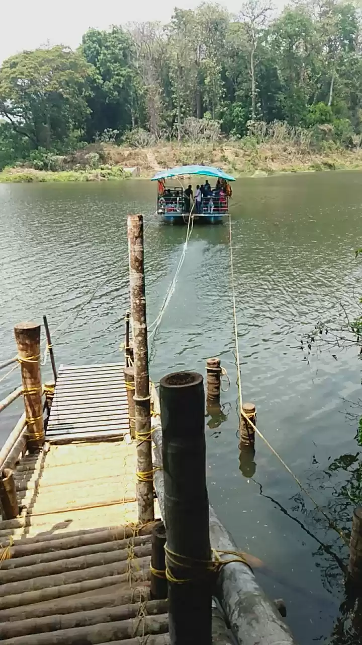 Photo of Canoli's plot : Kera