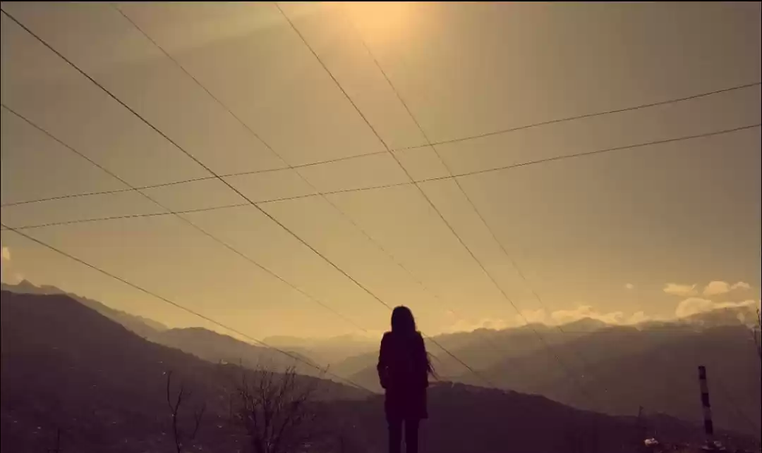 Photo of A Picture perfect vi