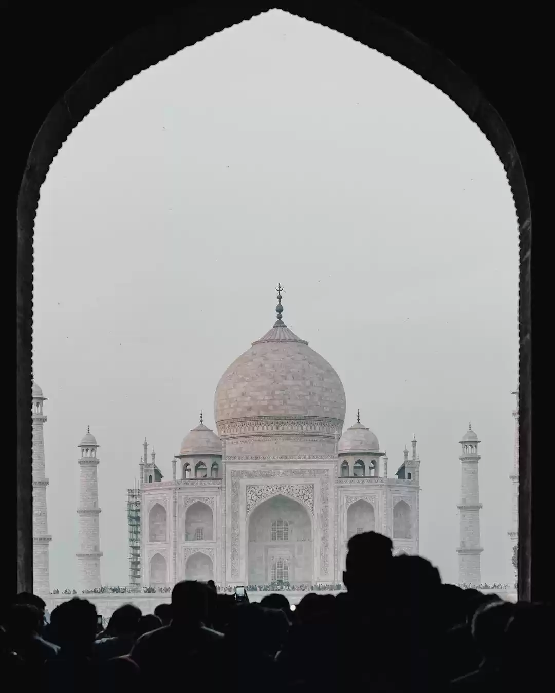 Photo of Everything You Need 