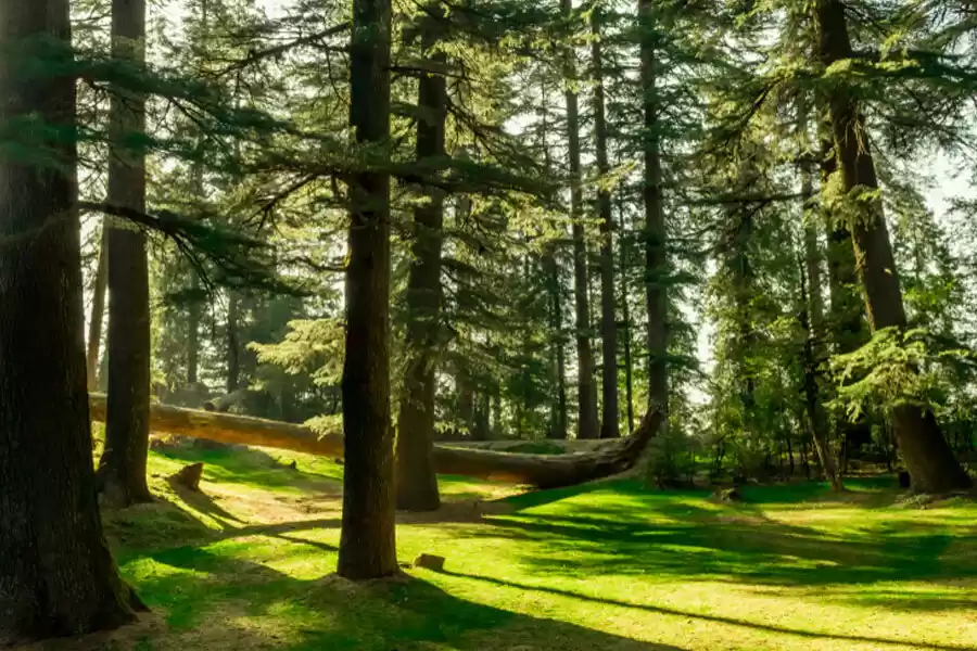 Photo of दिल्ली से कुछ घंटे द