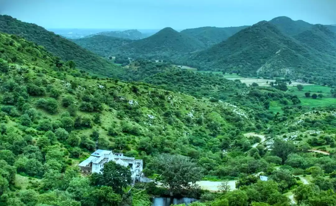 Photo of घने जंगल में है 2100