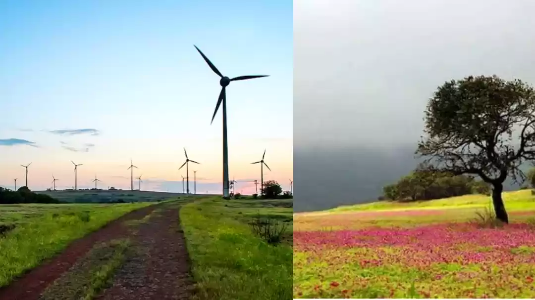 Photo of महाराष्ट्र की इस खूब