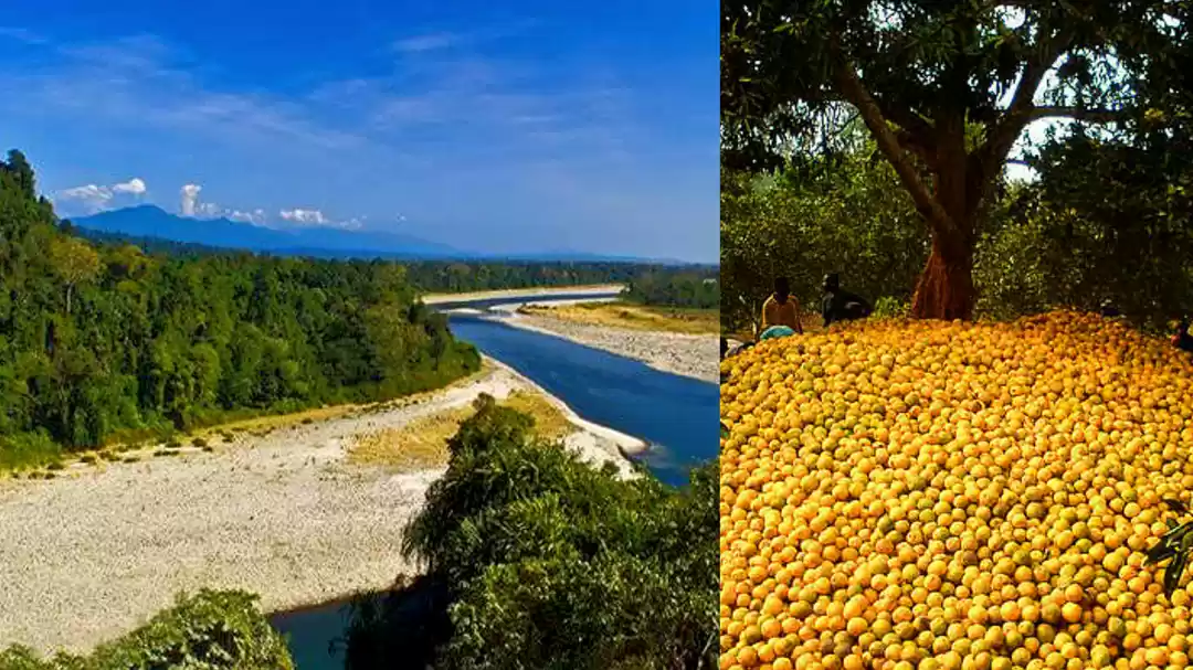 Photo of महाराष्ट्र नहीं बल्क