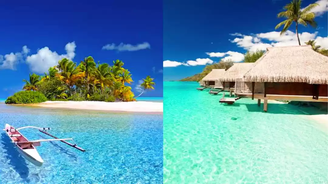 Photo of पर्यटकों ने आखिर क्य