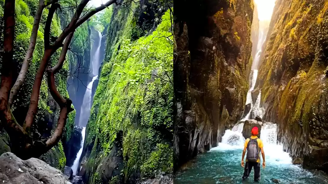 Photo of कुदरत की अद्भुत कलाक