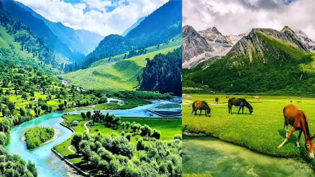 Photo of सितम्बर में बनाएं कश