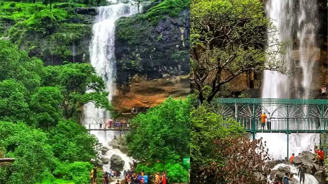 Photo of महाराष्ट्र में बिना