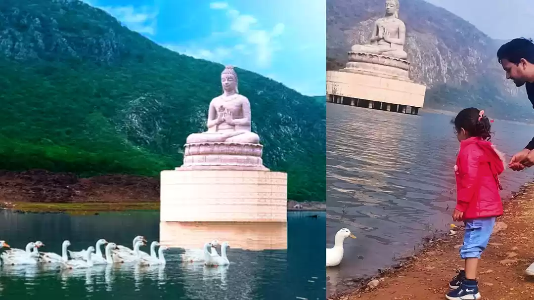 Photo of चारों ओर हरियाली से 