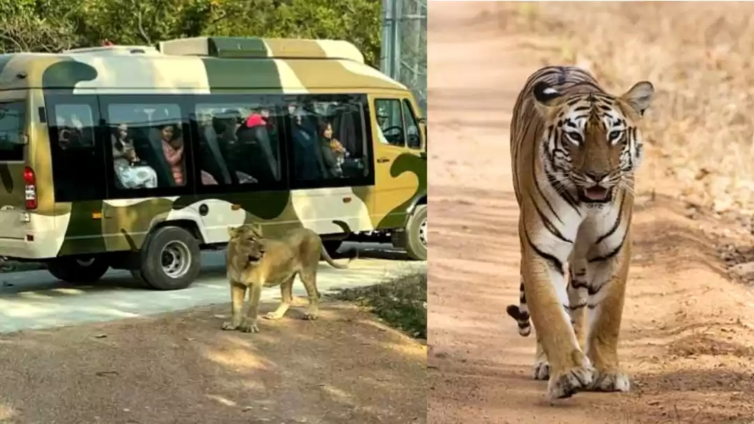 Photo of बिहार में सिर्फ 100 