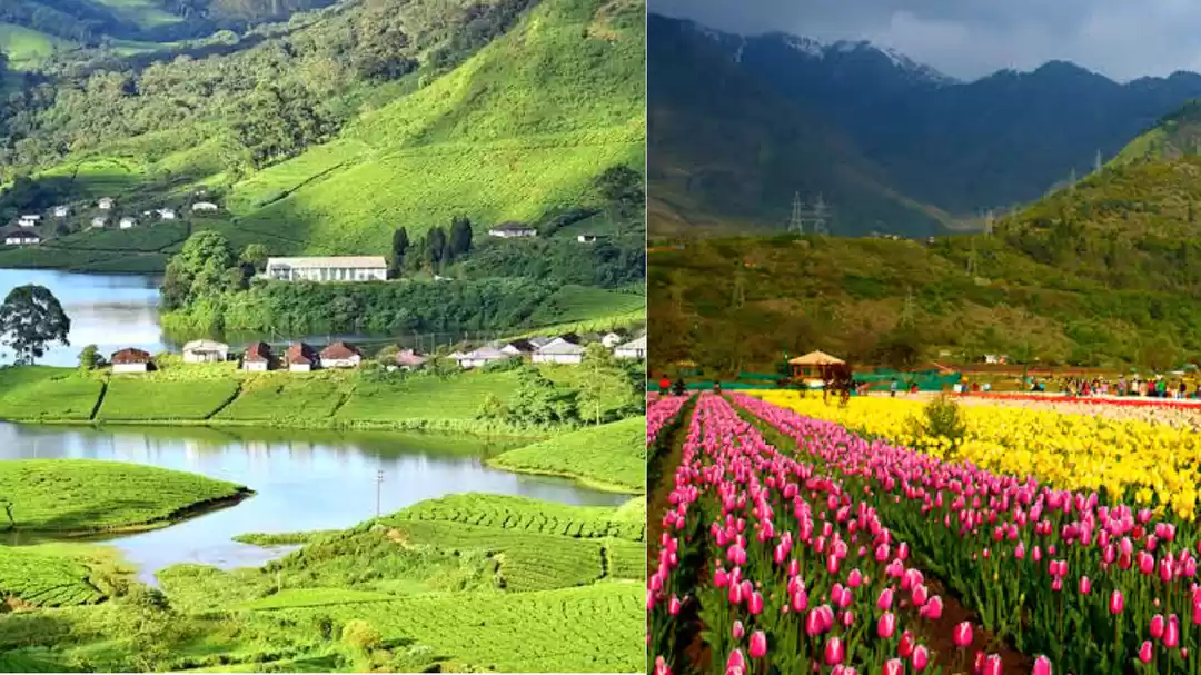 Photo of बसंत ऋतू कई असली आनं