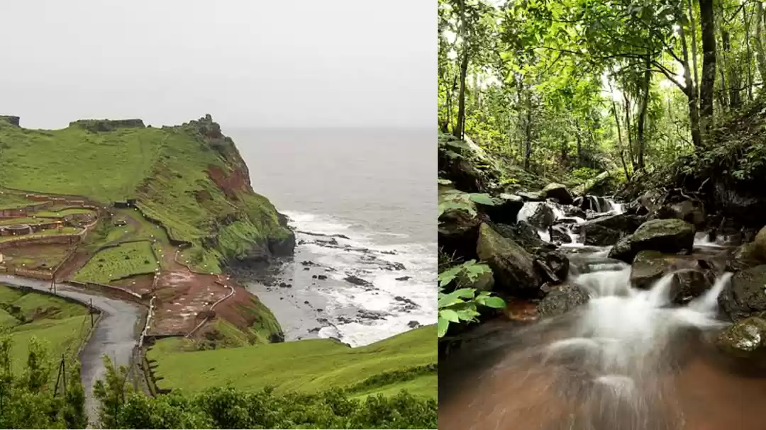 Photo of सैलानियों की भीड़ से