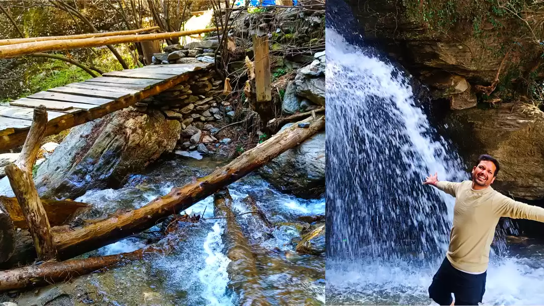 Photo of घनी हरियाली और बर्फ