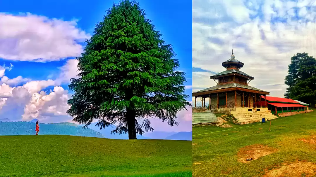 Photo of मनाली से सिर्फ 50 कि