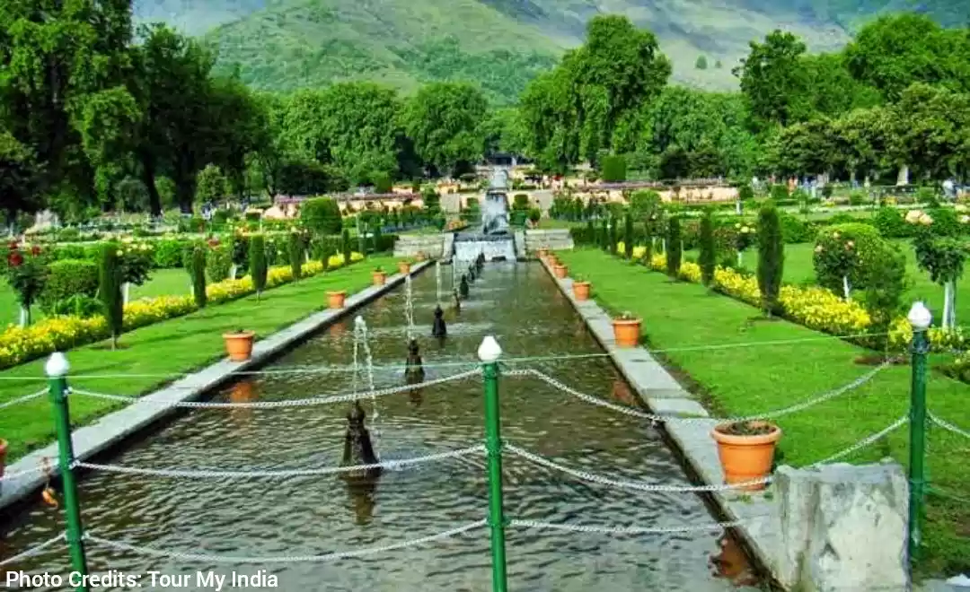 Photo of "खुशियों के बाग" के 