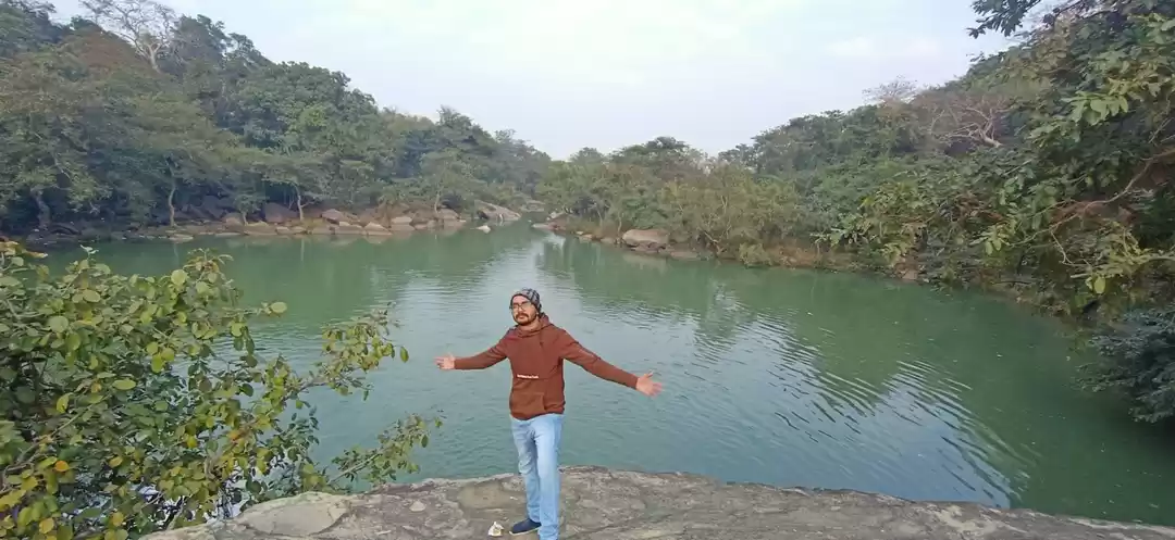 Photo of Incredible jungle ne
