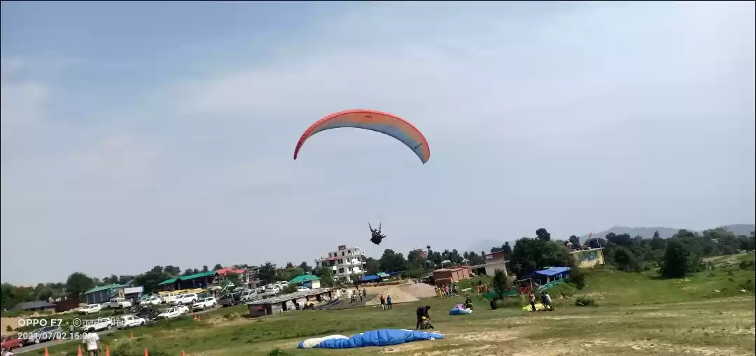 Photo of Fly like birds...at 