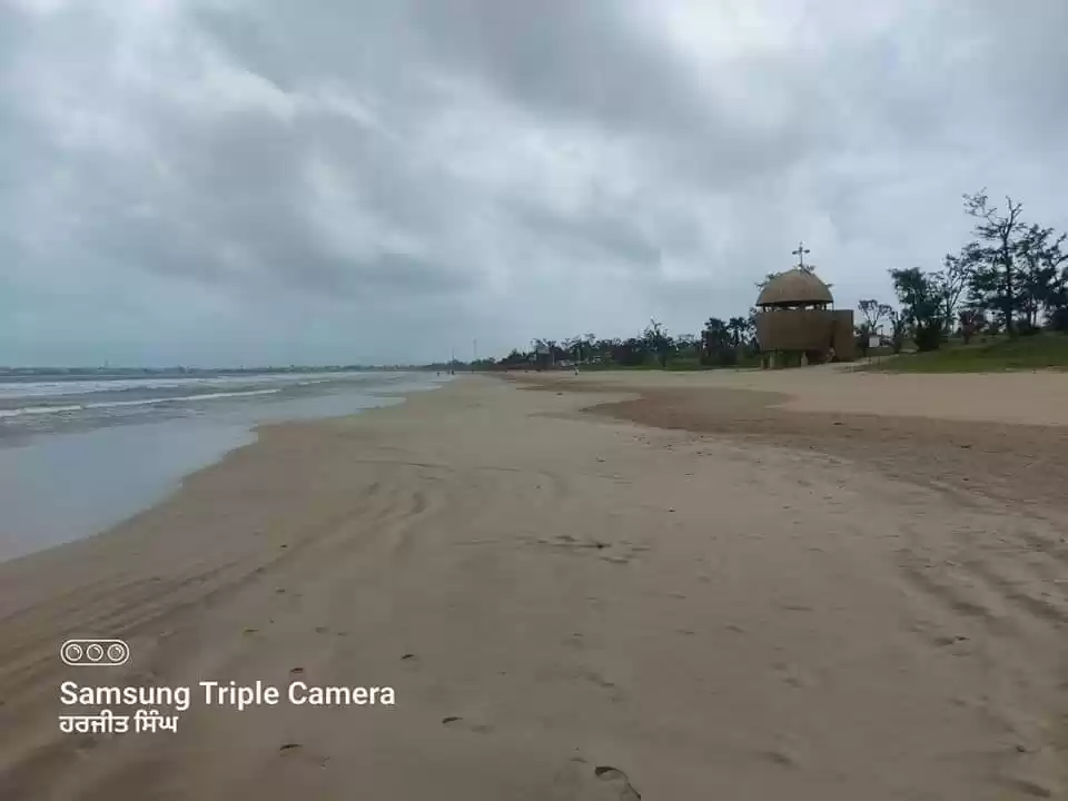Photo of Beautiful Blue Flag 