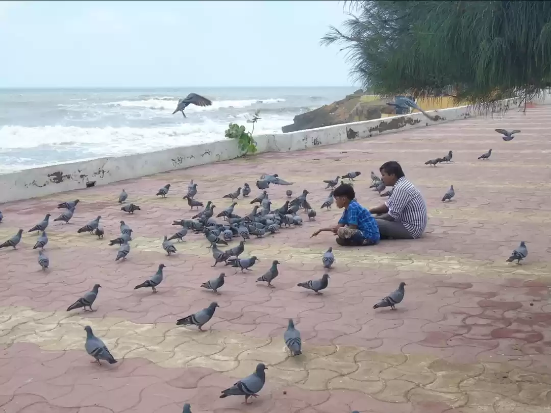 Photo of Nagoa Beach in Diu