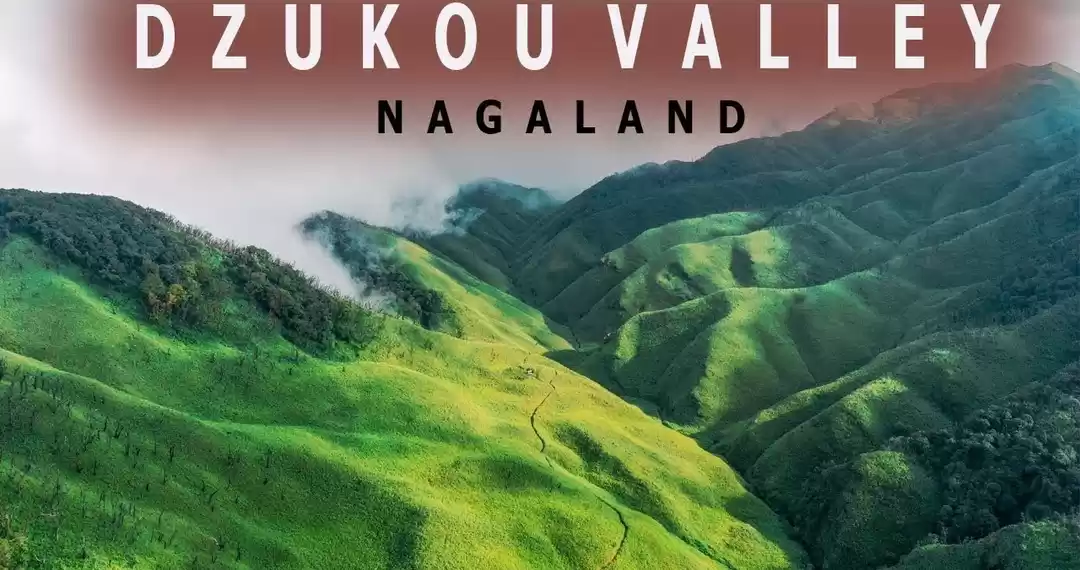 Photo of जुको घाटी Dzukou Val