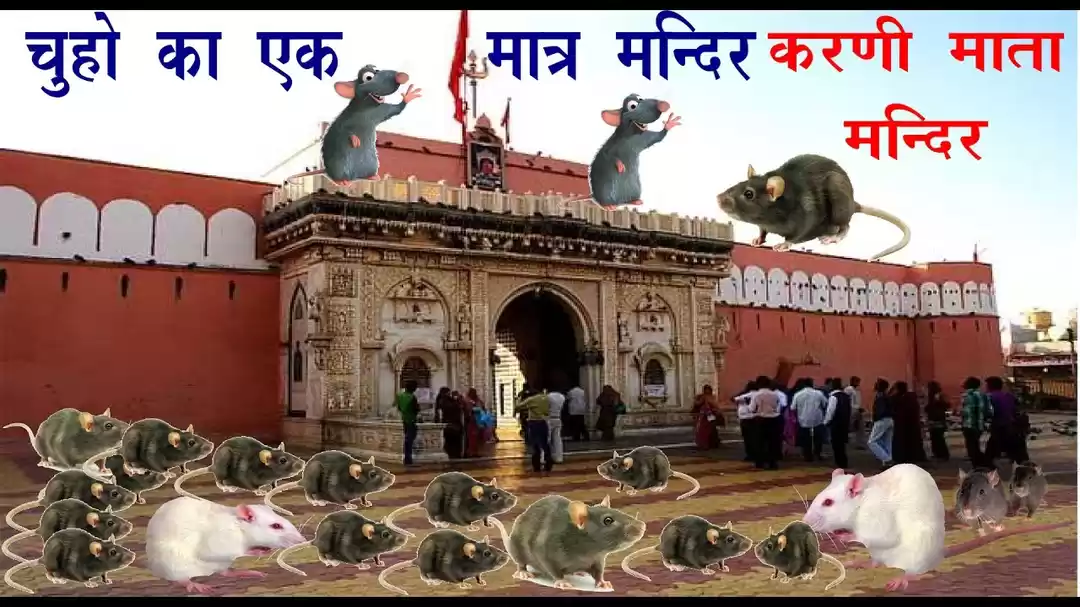 Photo of भारत का अजीबो गरीब च