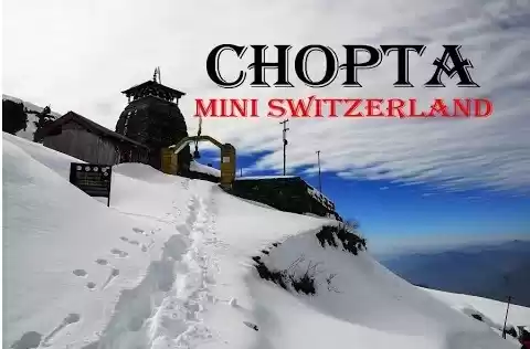 Photo of चोपटा - उत्तराखंड का