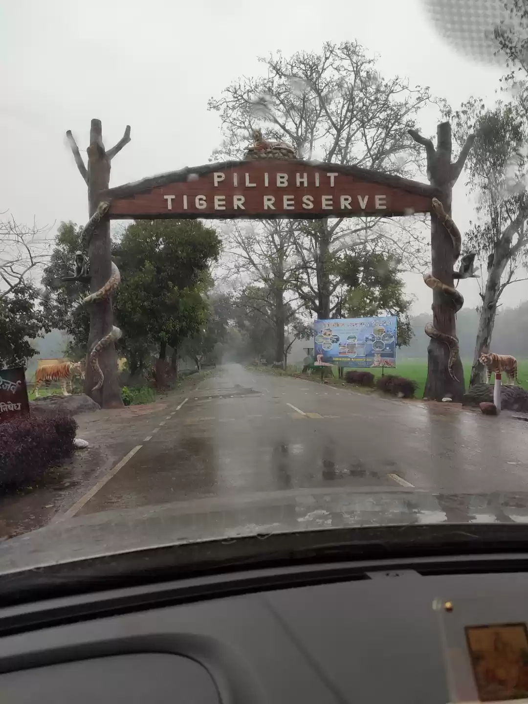 Photo of Feel like original l