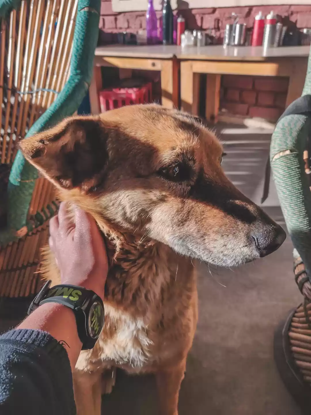 Photo of These expert mountai