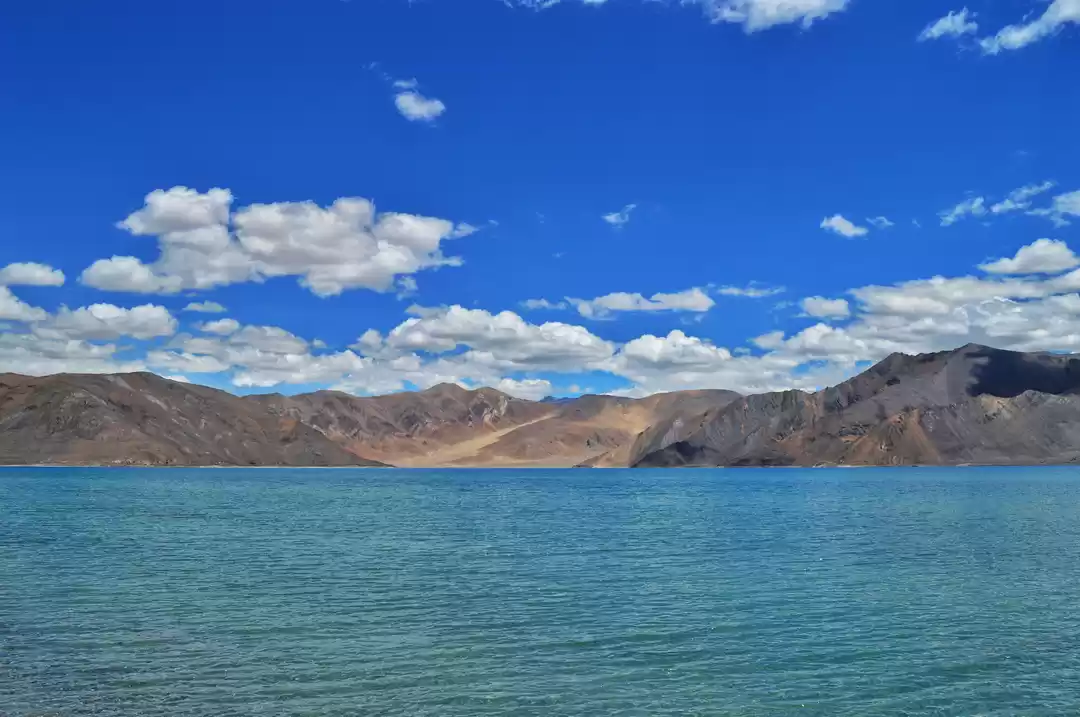 Photo of The Leh Chronicles -