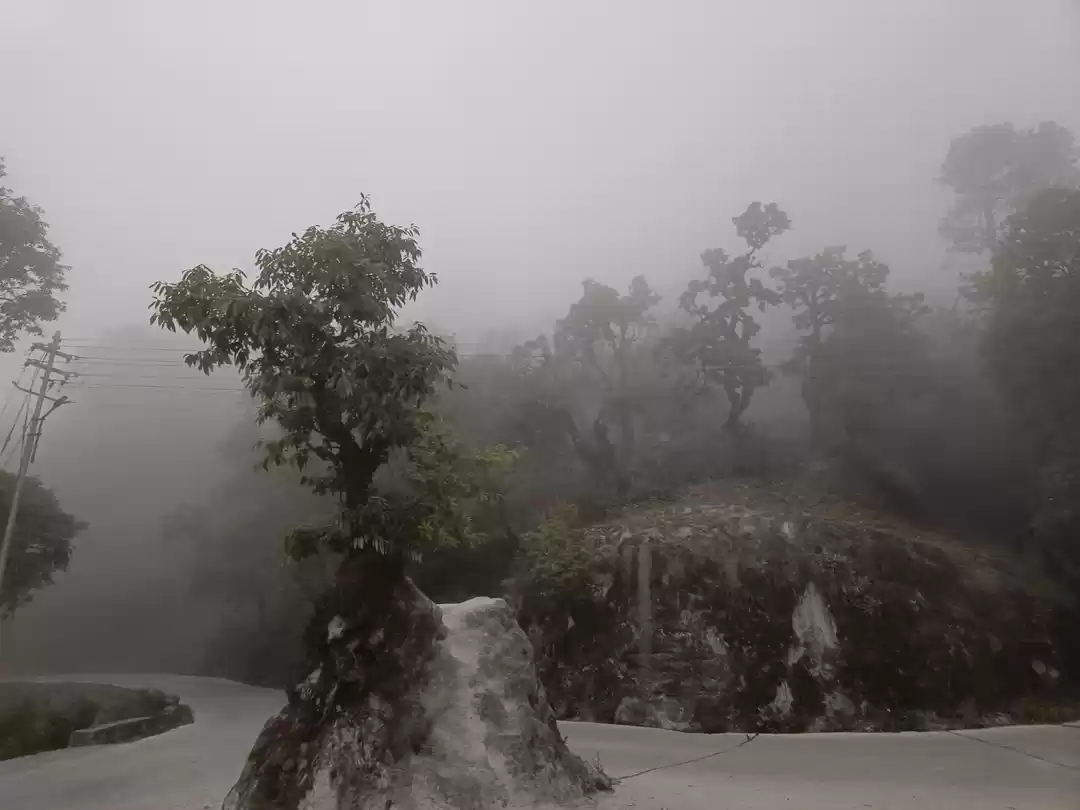 Photo of A Peaceful place -La