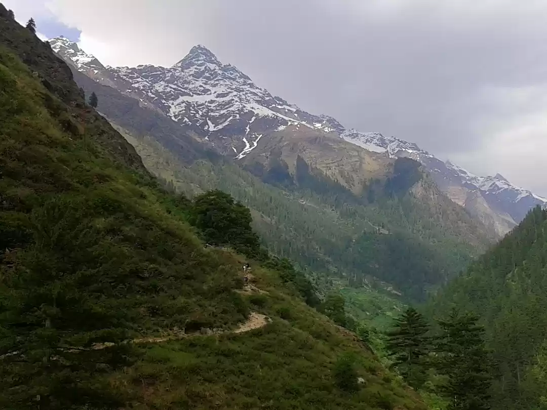 Photo of Glassy eyes Kasol