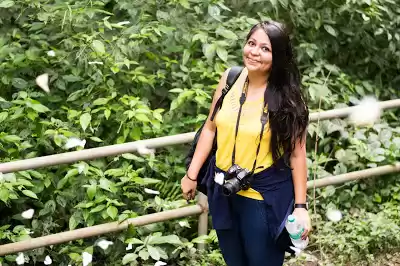 Photo of Lost In The Forest W