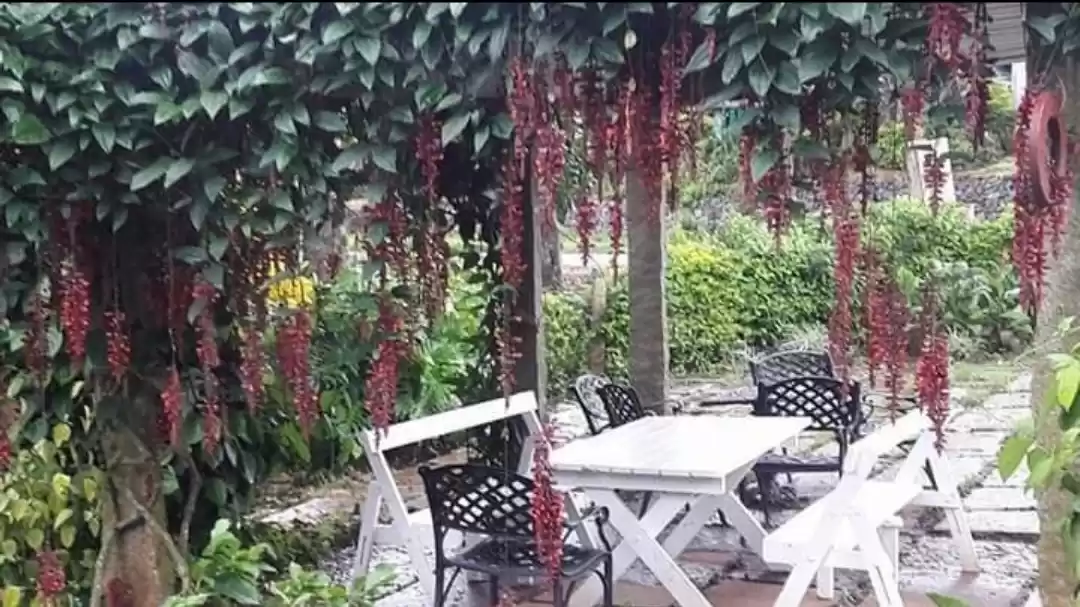 Photo of The beautiful cafe a