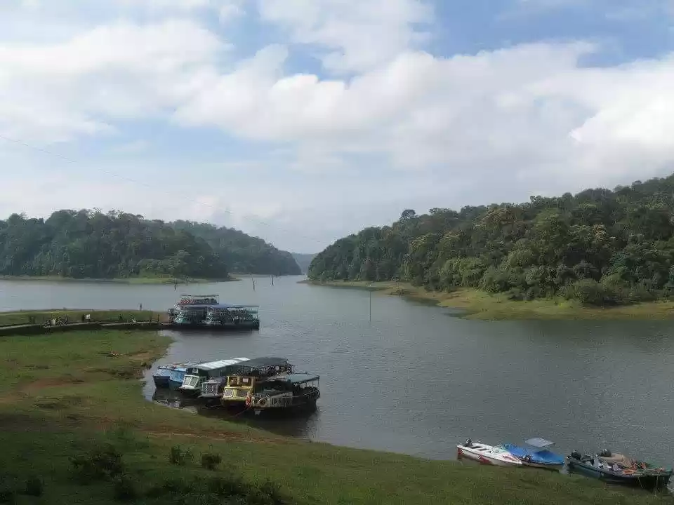 Photo of Periyar reserve