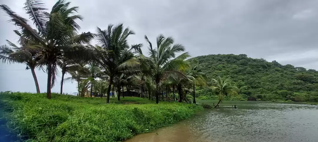 Photo of Arambol Sweet Water 