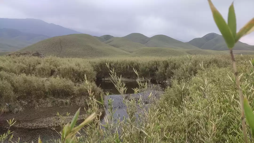 Photo of Exploring Dzouku val