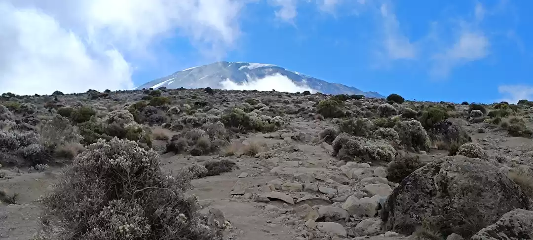 Photo of Mt. Kilimanjaro Seri