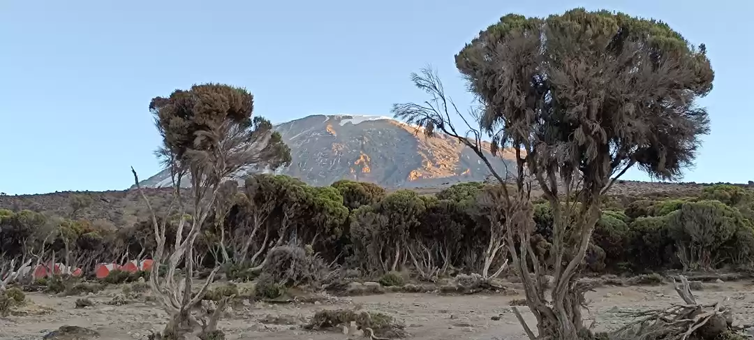 Photo of Mt. Kilimanjaro Seri