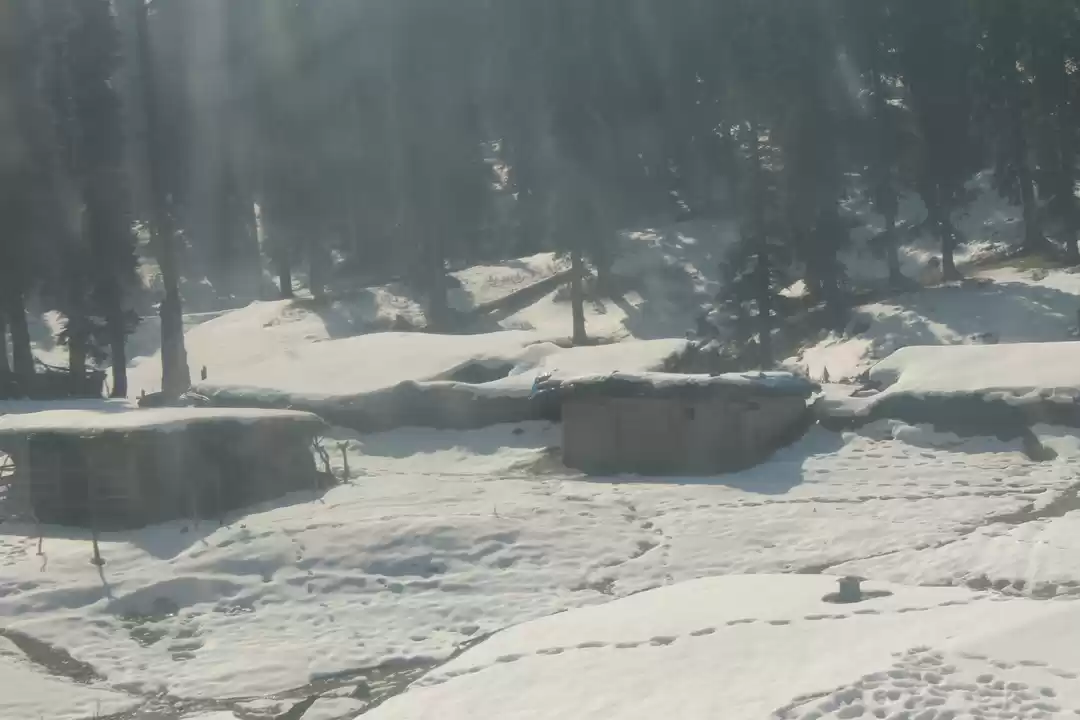 Photo of GULMARG- THE DIVINE